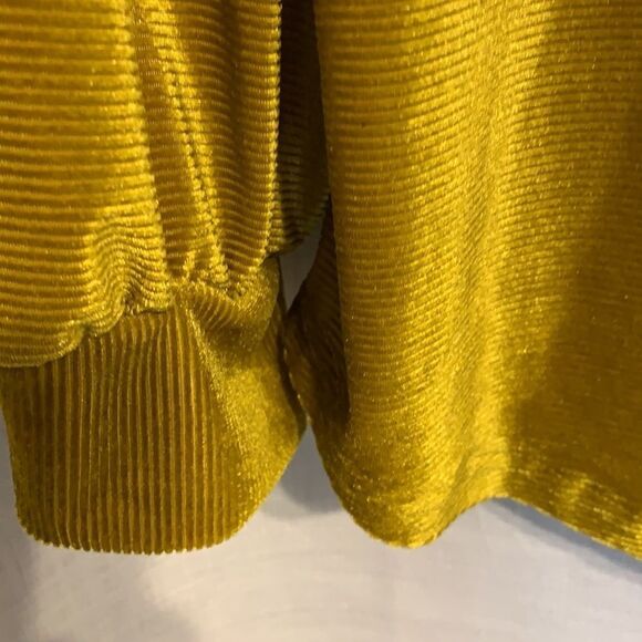 NWOT Large Velvet-like V-neck longsleeve top - Picture 4 of 8